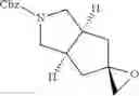 Fig. 231 - Selective octahydro-cyclopenta[C] pyrrole negative modulators of NR2B