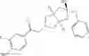 Fig. 653 - Selective octahydro-cyclopenta[C] pyrrole negative modulators of NR2B