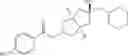 Fig. 669 - Selective octahydro-cyclopenta[C] pyrrole negative modulators of NR2B
