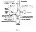 Fig. 02 - Polyamide compound and pharmaceutical composition for treating mitochondrial genetic diseases