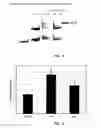 Fig. 04 - Polyamide compound and pharmaceutical composition for treating mitochondrial genetic diseases