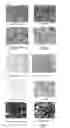 Fig. 07 - Polyamide compound and pharmaceutical composition for treating mitochondrial genetic diseases