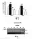 Fig. 04 - Ciclopirox for use in modulation of glucose homeostasis