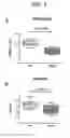 Fig. 05 - METHODS AND PHARMACEUTICAL COMPOSITIONS FOR TREATING DISEASES ASSOCIATED WITH ALTERED SERT ACTIVITY
