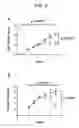 Fig. 14 - METHODS AND PHARMACEUTICAL COMPOSITIONS FOR TREATING DISEASES ASSOCIATED WITH ALTERED SERT ACTIVITY