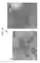 Fig. 24 - METHODS AND PHARMACEUTICAL COMPOSITIONS FOR TREATING DISEASES ASSOCIATED WITH ALTERED SERT ACTIVITY