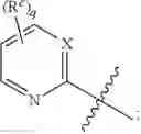 Fig. 121 - PHARMACEUTICAL COMPOSITIONS OF CETP INHIBITORS