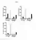 Fig. 06 - Compositions, systems, and methods for generating inner ear hair cells for treatment of hearing loss