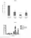 Fig. 02 - Fluorinated integrin antagonists