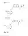 Fig. 04 - CDK8-CDK19 selective inhibitors and their use in anti-metastatic and chemopreventative methods for cancer