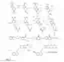 Fig. 05 - CDK8-CDK19 selective inhibitors and their use in anti-metastatic and chemopreventative methods for cancer