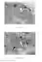 Fig. 08 - Methods and compositions for treating viral infections