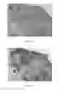Fig. 09 - Methods and compositions for treating viral infections