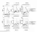 Fig. 04 - Methods for treating arenaviridae and coronaviridae virus infections