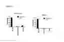 Fig. 10 - Combination therapy with double negative T-cells
