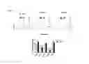 Fig. 16 - Combination therapy with double negative T-cells
