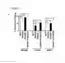 Fig. 19 - Combination therapy with double negative T-cells