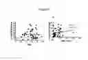 Fig. 29 - Combination therapy with double negative T-cells