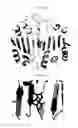 Fig. 09 - Medicinal ambrosia maritima extracts