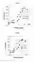 Fig. 10 - Formulation of a mixture of Free-B-ring flavonoids and flavans as a therapeutic agent