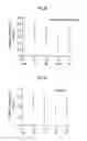 Fig. 19 - Formulation of a mixture of Free-B-ring flavonoids and flavans as a therapeutic agent