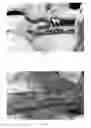 Fig. 03 - Pharmaceutical compositions for treating thermal injuries and wounds combined with bone injuries