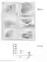 Fig. 12 - PEPTIDES THAT BLOCK LEUKOCYTE RECRUITMENT AND METHODS OF USE