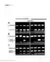Fig. 05 - PHANTOM PHENOMENA TREATMENT