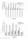 Fig. 13 - Autoassembling peptides for the treatment of pulmonary bulla