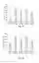 Fig. 14 - Autoassembling peptides for the treatment of pulmonary bulla