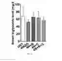 Fig. 03 - Combination therapy for head and neck cancer