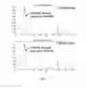 Fig. 07 - Combination therapy for head and neck cancer