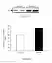 Fig. 04 - PAR-1 based therapeutic conjugates and uses thereof