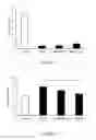 Fig. 06 - PAR-1 based therapeutic conjugates and uses thereof