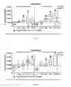 Fig. 03 - FGF-18 compound dosing regimen
