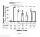 Fig. 05 - FGF-18 compound dosing regimen