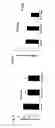 Fig. 05 - COMPOSITIONS COMPRISING IL-31 AND USES THEREOF