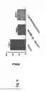 Fig. 16 - COMPOSITIONS COMPRISING IL-31 AND USES THEREOF