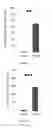 Fig. 17 - METHODS AND COMPOSITIONS FOR THE TREATMENT OF GLAUCOMA