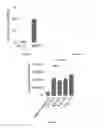 Fig. 22 - METHODS AND COMPOSITIONS FOR THE TREATMENT OF GLAUCOMA