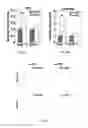 Fig. 24 - METHODS AND COMPOSITIONS FOR THE TREATMENT OF GLAUCOMA