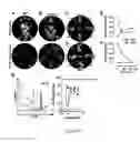 Fig. 04 - PRENATAL THERAPY TO INDUCE IMMUNE TOLERANCE