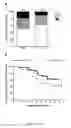 Fig. 24 - PRENATAL THERAPY TO INDUCE IMMUNE TOLERANCE