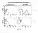 Fig. 07 - Mesothelin vaccines and model systems