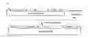 Fig. 02 - Immunogenic composition
