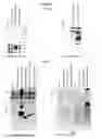 Fig. 02 - Composition for Treating HBV Infection