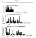 Fig. 05 - Composition for Treating HBV Infection