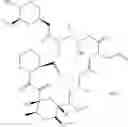 Fig. 02 - PHARMACEUTICAL COMPOSITION CONTAINING TACROLIMUS AND PREPARATION METHODS THEREOF