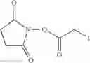 Fig. 45 - Haptens of aripiprazole