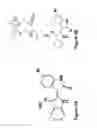 Fig. 06 - Compositions and methods for controlled localized delivery of bone forming therapeutic agents